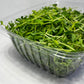 Pea