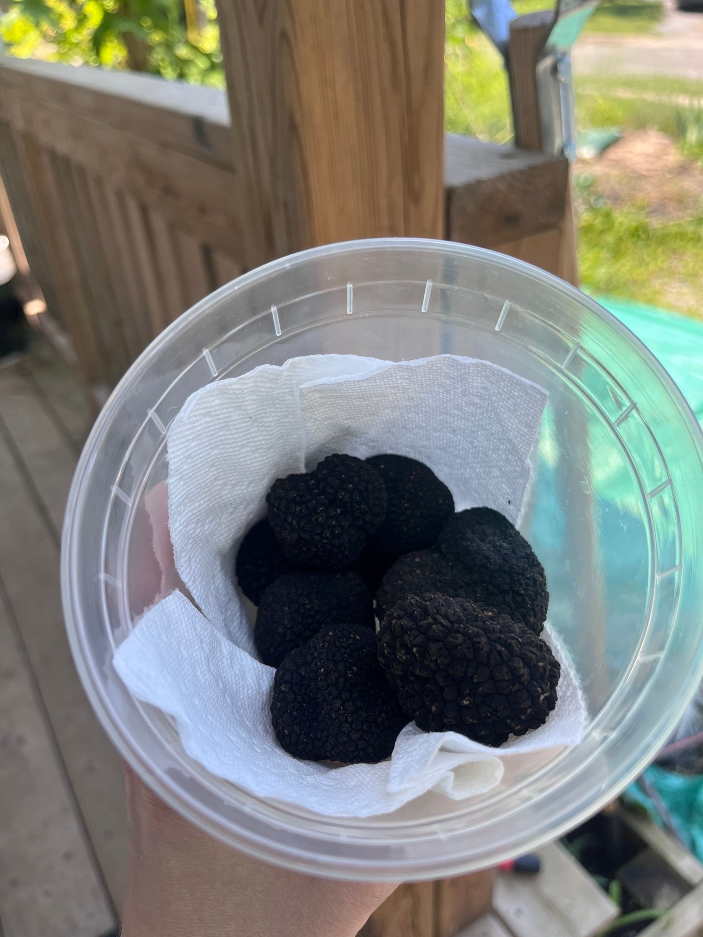 Italian Truffles