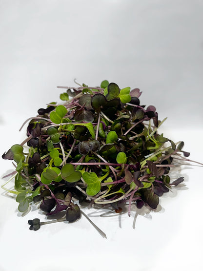 Radish